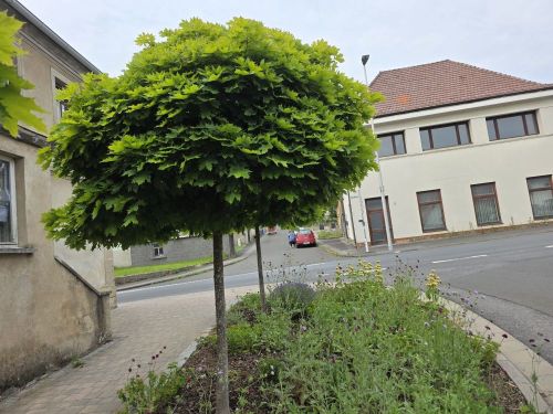 Thumbnail-Großzügiges Wohnhaus in 96126 Ermershausen Haßfurt (ID 10536)