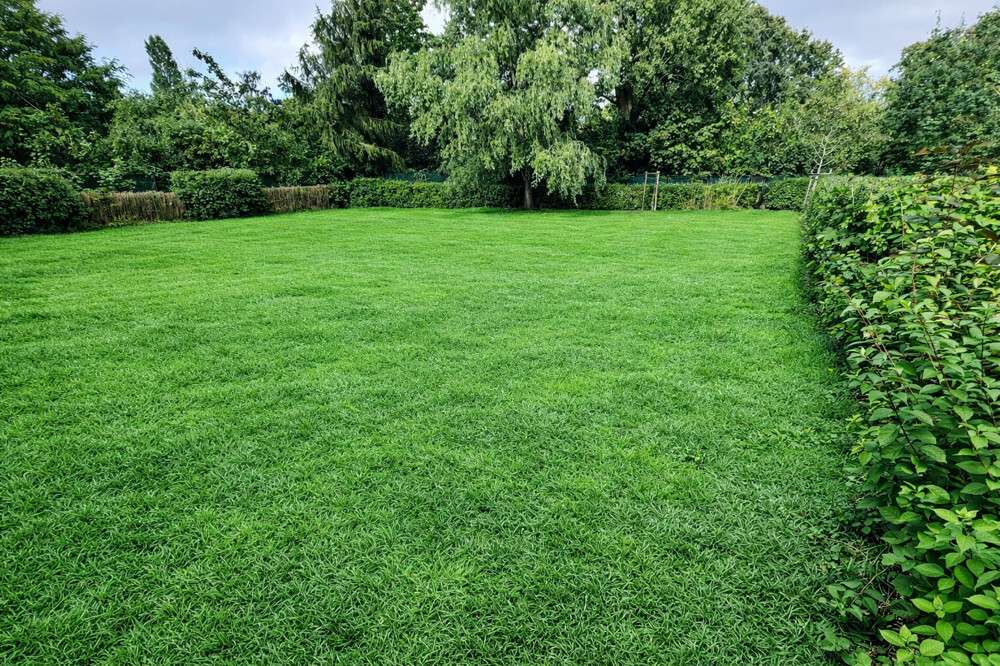 Thumbnail-Grundstück zu verkaufen in Berlin 199.000,00 € 448 m²