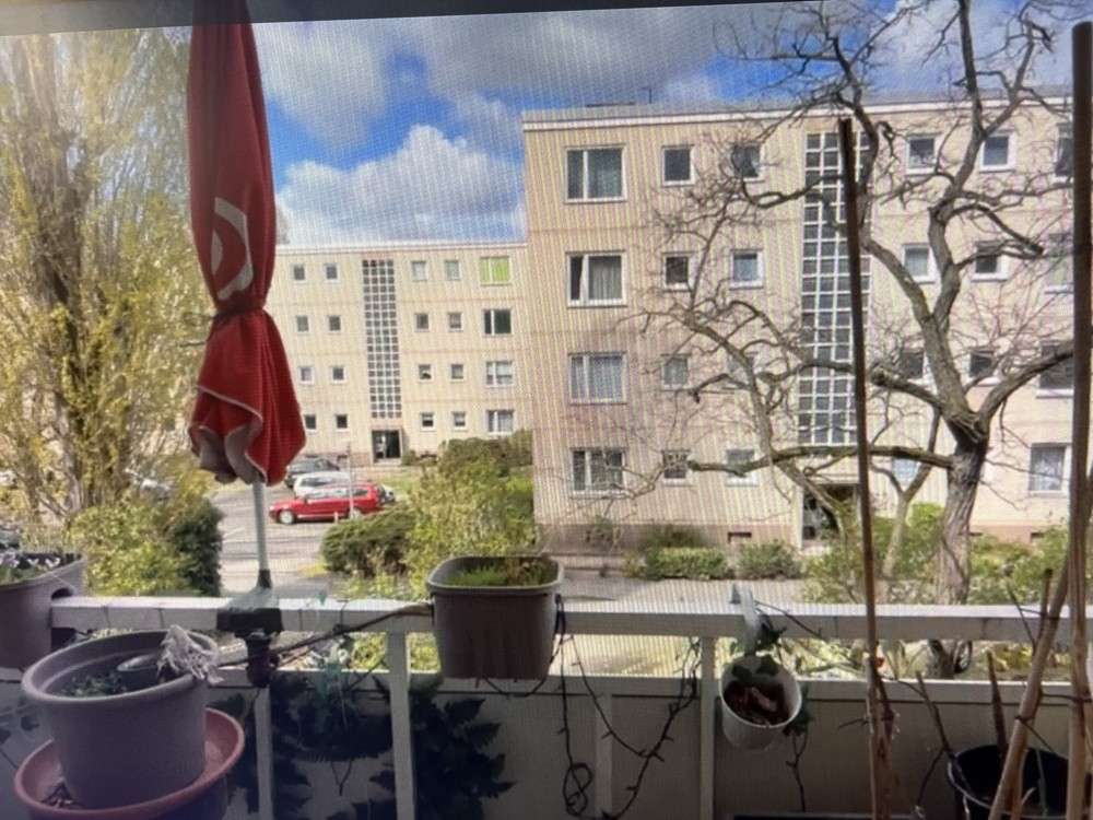 Thumbnail-Wohnung zum Kaufen in Berlin Hakenfelde 129.321,00 € 54 m²