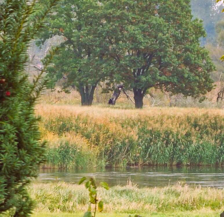 Thumbnail-TRAUMHAFT RENOVIERTE HOFSTELLE - MIT CHARME UND SCHEUNE - UND MIT 4 WOHNEINHEITEN