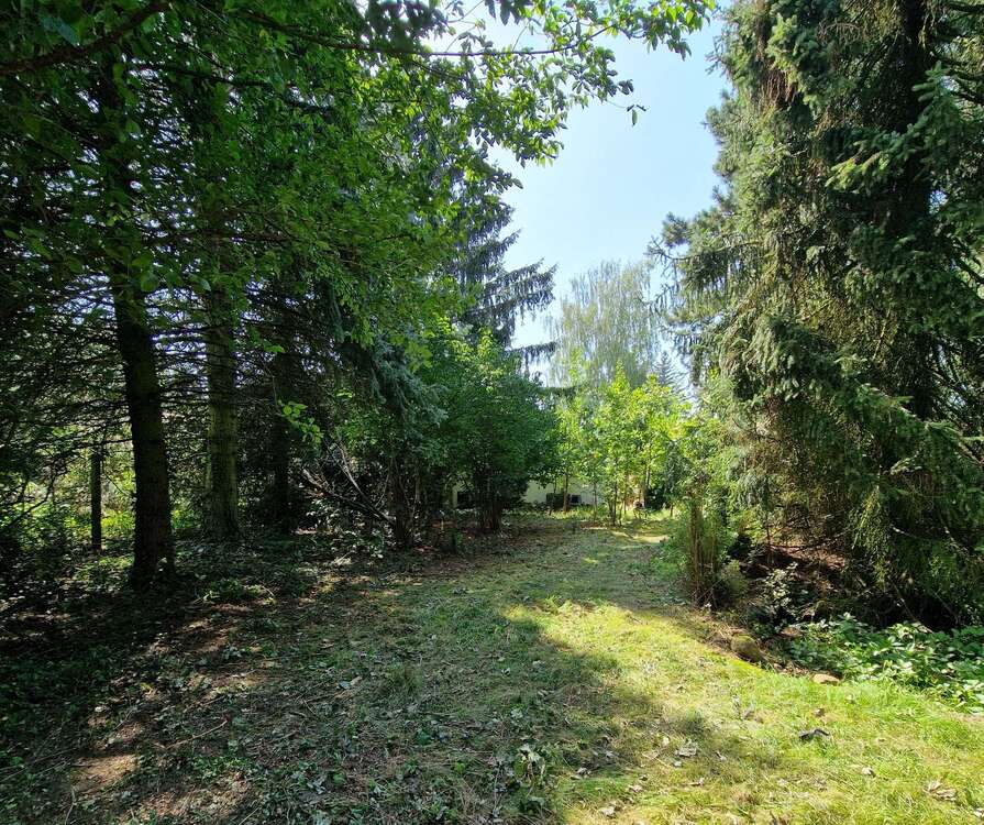 Blick nach hinten