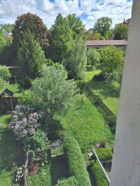 Blick in den Garten