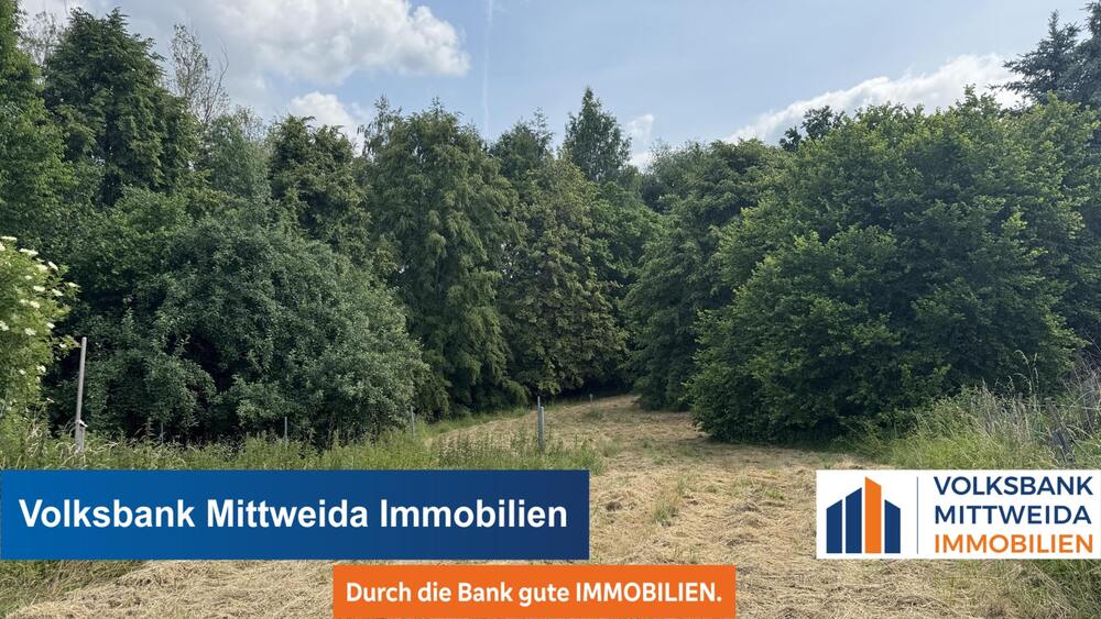 Thumbnail-5260m² Großes Grundstück - bebaut mit Scheune und Werkstatt - Wald und Wiese!