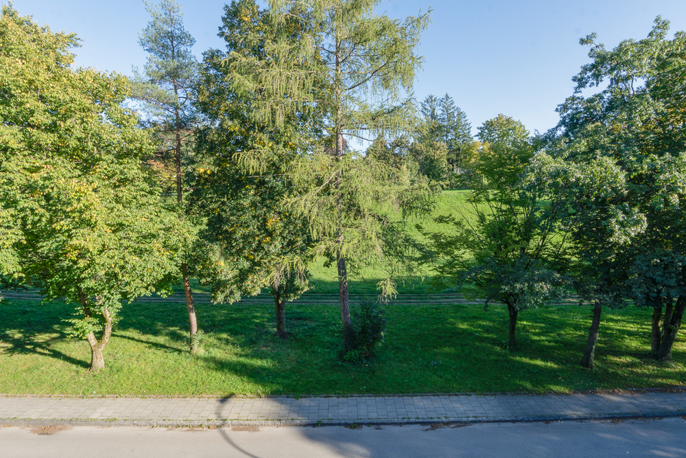Straßenansicht vom Balkon aus 