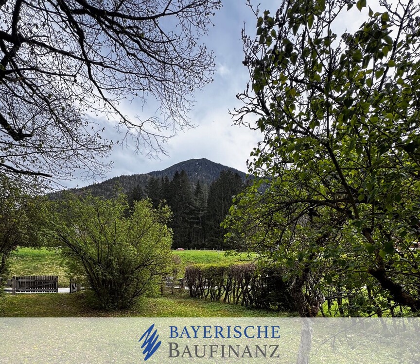 *AUSSICHT*