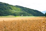 Ferienhäuser in Kärnten: darauf sollten Sie achten